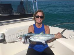 Angler catches a 23-inch Spanish mackerel in Islamorada