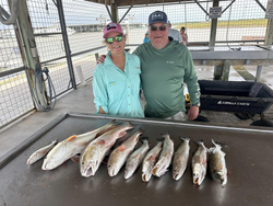 6 chub mackerel fish caught while fishing in Matagorda