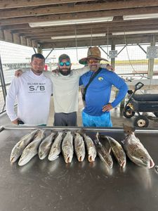 7 great barracuda fish caught in matagorda while fishing and hunting