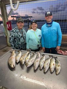 8 Coho Salmon caught while fishing in TX