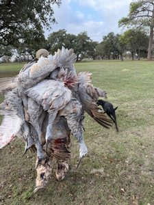 Successful hunting pile at Matagorda Bay with faithful companion.