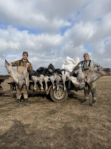Successful Greater White-fronted Goose hunt at Matagorda Bay!