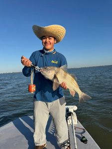 Black drum fish caught while fishing in Matagorda TX on boat