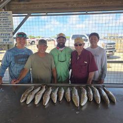 Fresh caught fish displayed on cleaning table at Matagorda TX fishing station