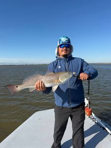 Redfish caught while fishing in Matagorda TX waters