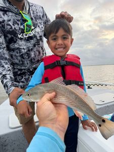 Redfish caught during fishing trip in Matagorda TX on boat deck