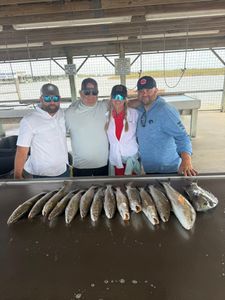 Fresh caught redfish and sheepshead displayed on cleaning station in Matagorda TX