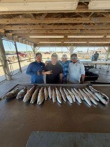 Fresh caught redfish, sheepshead, and hardhead sea catfish displayed on fishing dock cleaning station in Matagorda TX