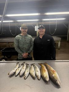 Fresh caught redfish and speckled trout displayed on cleaning station in Matagorda TX