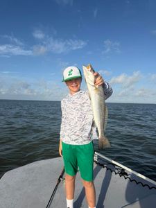 Speckled trout catch displayed on fishing boat in Matagorda TX waters
