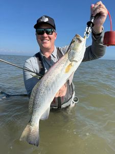 Speckled trout catch displayed in Matagorda TX coastal waters