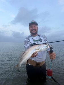 Angler holding large speckled trout caught while wade fishing in Matagorda TX waters