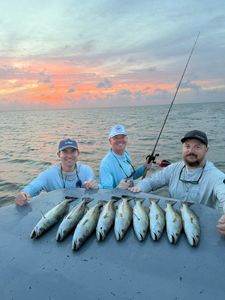 Three anglers display their catch of speckled trout on boat deck in Matagorda TX during sunset fishing trip