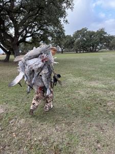 Successful mourning dove hunt at Matagorda Bay delivers!