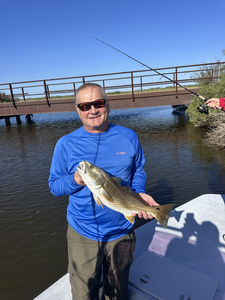 Beautiful Matagorda Bay redfish caught on the rod!