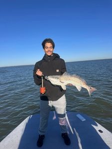 Redfish caught while fishing in TX