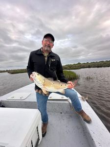 Redfish caught in Matagorda