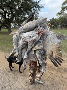 Successful sandhill crane hunt at Matagorda Bay!