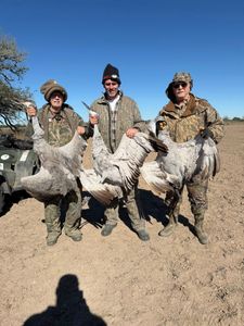 Successful sandhill crane hunting trip in Matagorda TX with three harvested birds
