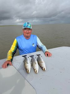 Three speckled trout displayed on boat deck after successful fishing trip in Matagorda TX