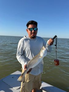 Speckled trout caught fishing in Matagorda TX waters