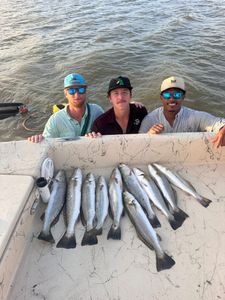 Spotted Weakfish caught by 3 anglers fishing in TX