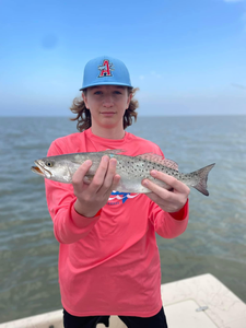 Spotted weakfish catch in TX