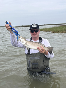 Spotted weakfish caught in Matagorda