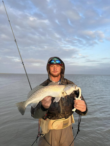 Spotted Weakfish, 23-inch, fishing and hunting in Matagorda