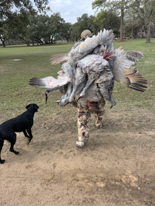 Successful turkey hunt at Matagorda Bay with loyal companion.