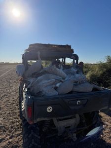 Utility vehicle loaded with harvested waterfowl after hunting trip in Matagorda TX