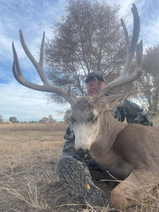 Hunting expedition in CO