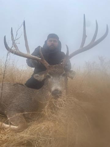 Lone hunter in Lamar