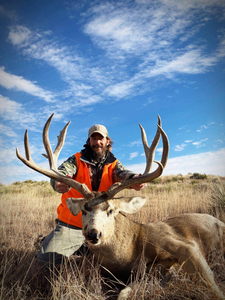 Solitary hunter in Colorado