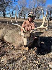 Hunter with harvested whitetail deer buck with antlers in Lamar Colorado field
