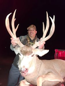 Large whitetail deer buck with impressive antlers displayed on truck bed in Lamar CO