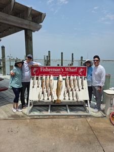 Loaded redfish and speckled trout haul.