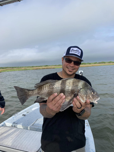 Angler with a large black drum fish in TX