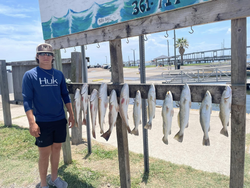 7 spotted weakfish caught in TX while fishing