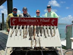 Fresh caught speckled trout, black drum, and redfish displayed on cleaning table at Fisherman's Wharf in Port Aransas, Texas