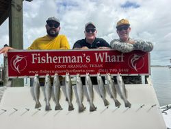 Nine speckled trout lined up on fishing boat deck at Fisherman's Wharf in Port Aransas Texas