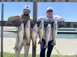 Five redfish caught in Aransas Pass, Texas