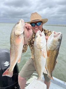 3 redfish caught while fishing in Aransas Pass