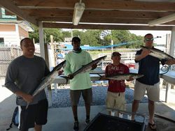 Four King Mackerel and Wahoo fish caught in FL