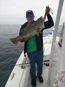 Gag grouper, a 21-inch fish, caught while fishing in FL