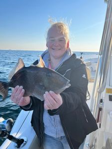 Fisherman holding a grey triggerfish in Florida