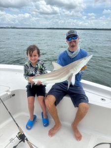 Blacktip shark caught while fishing in Largo