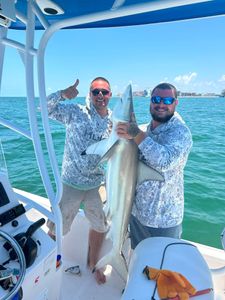 Blacktip Shark caught during fishing trip in Largo