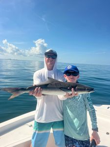 A photo of a Cobia fish caught while fishing in Florida