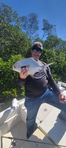The ever local Florida Pompano!